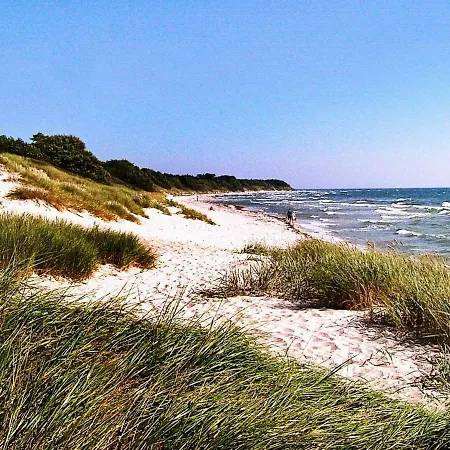 Holiday Lyngvejen Holiday home